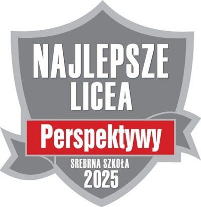 perspektywy logo srebrna tarcza