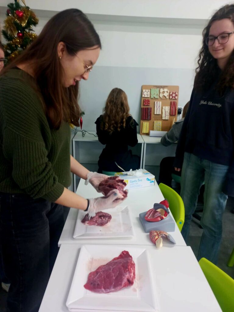 uczniowie podczas zajęć praktycznych z biologii pracujący na świńskim sercu