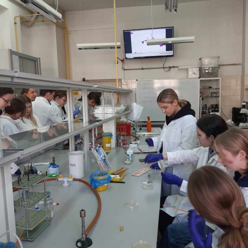 uczniowie w odzieży ochronnej podczas zajęć w laboratorium UŚ